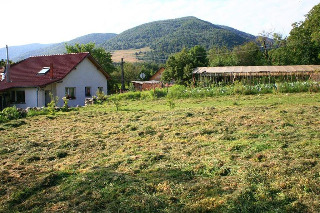 Отель Cuibul Salamandrelor Сармизегетуза Экстерьер фото
